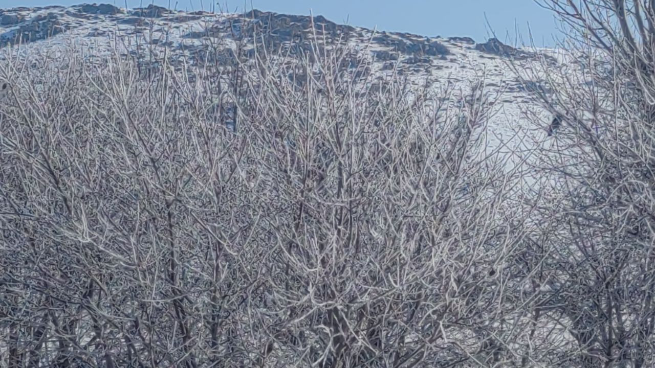 Van'da Dereler Dondu, Ağaçlar Kırağı Tuttu - Sayfa 3