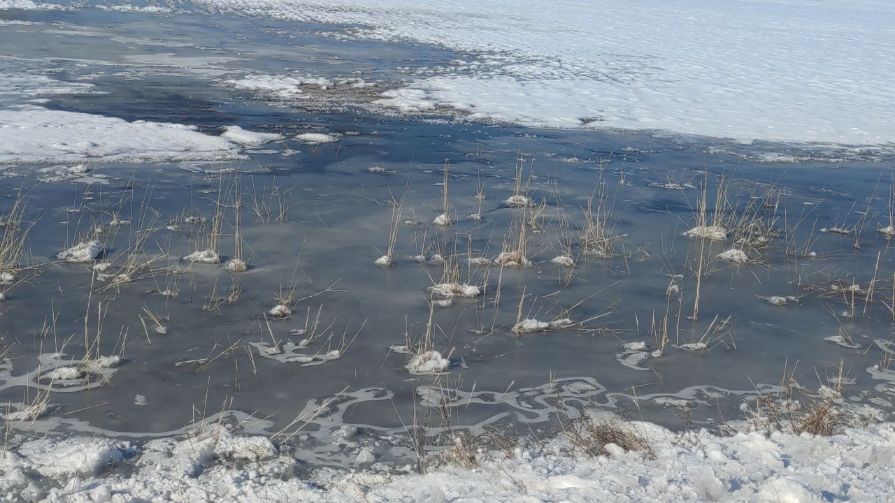 Van'da Dereler Dondu, Ağaçlar Kırağı Tuttu - Sayfa 5