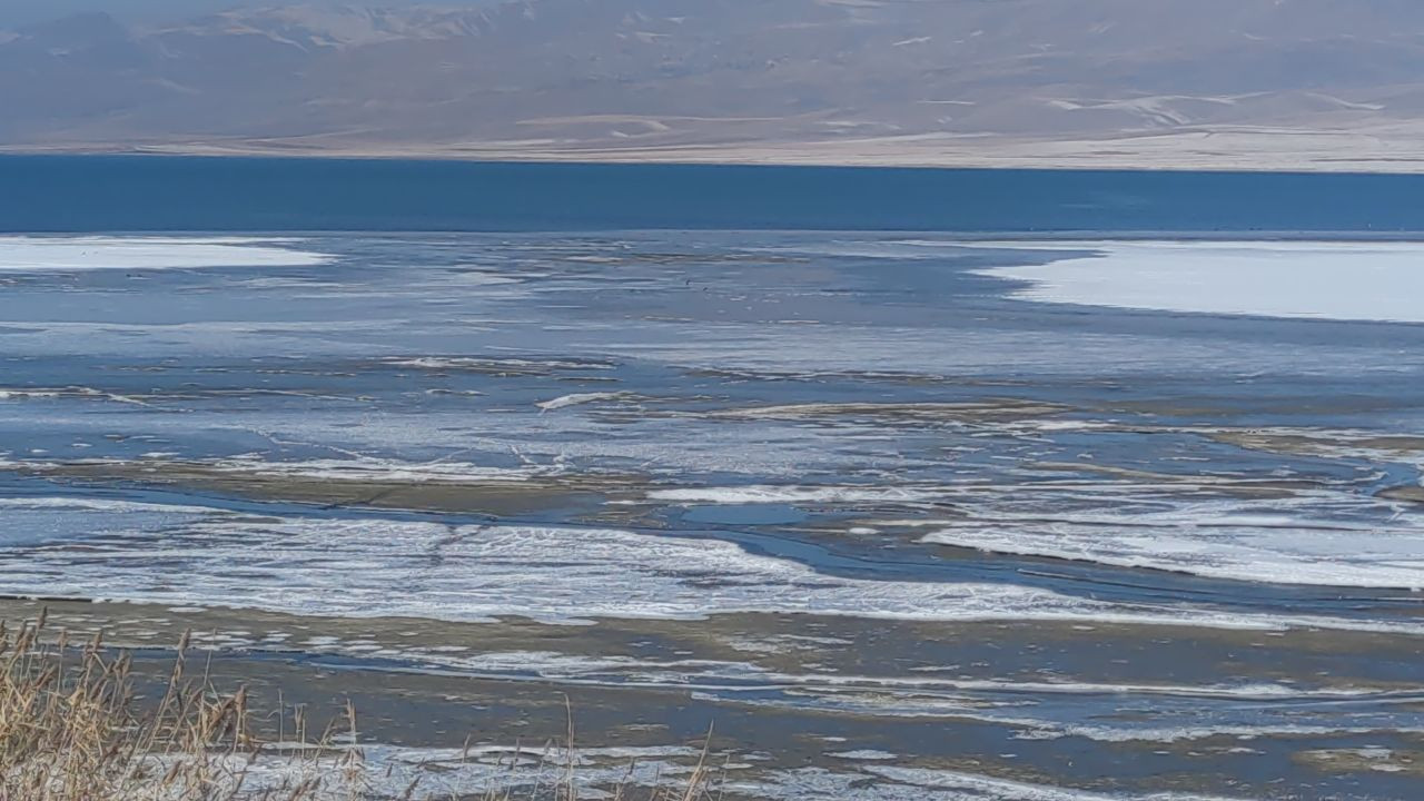 Van'da Dereler Dondu, Ağaçlar Kırağı Tuttu - Sayfa 8