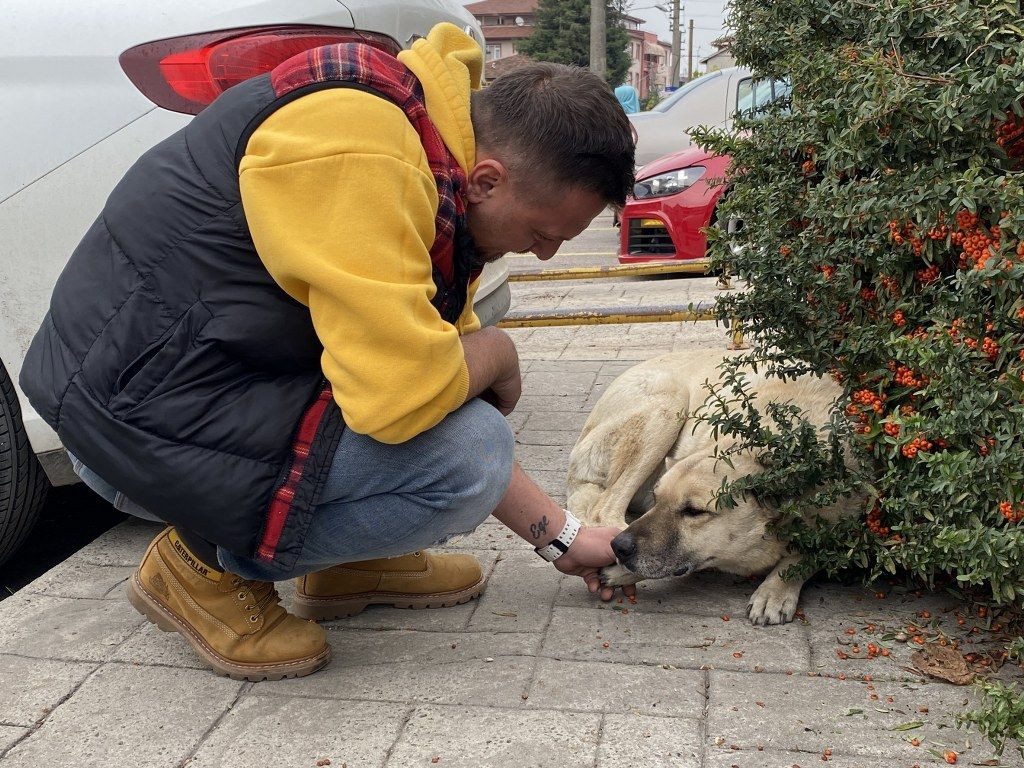 Köpek, Esnafa Vefa Borcunu Böyle Ödedi - Sayfa 5