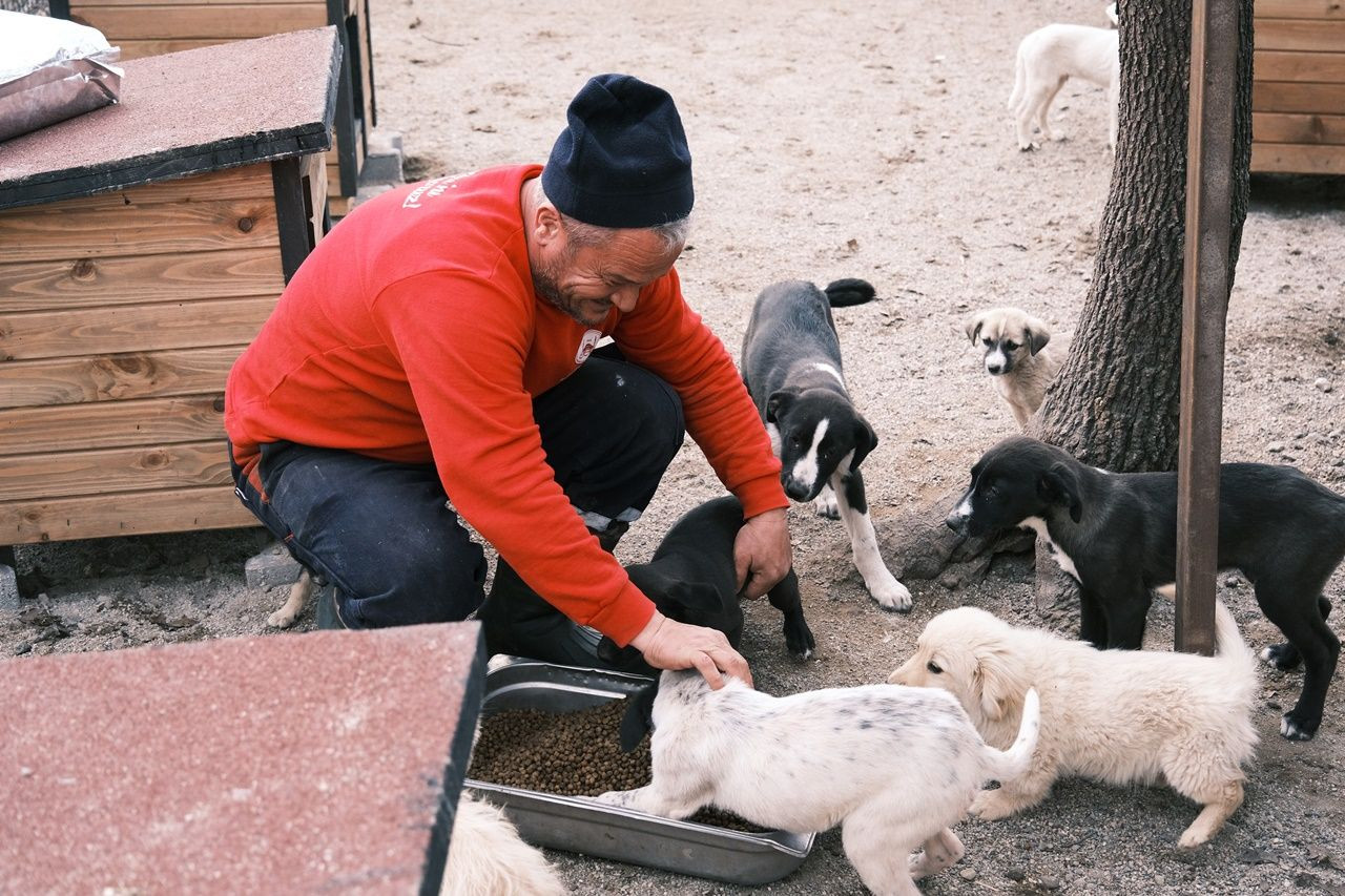 Sokak Hayvanları İçin Anlamlı İş Birliği: Gıda Fazlalıkları Hayvanlara Ulaşıyor - Sayfa 8