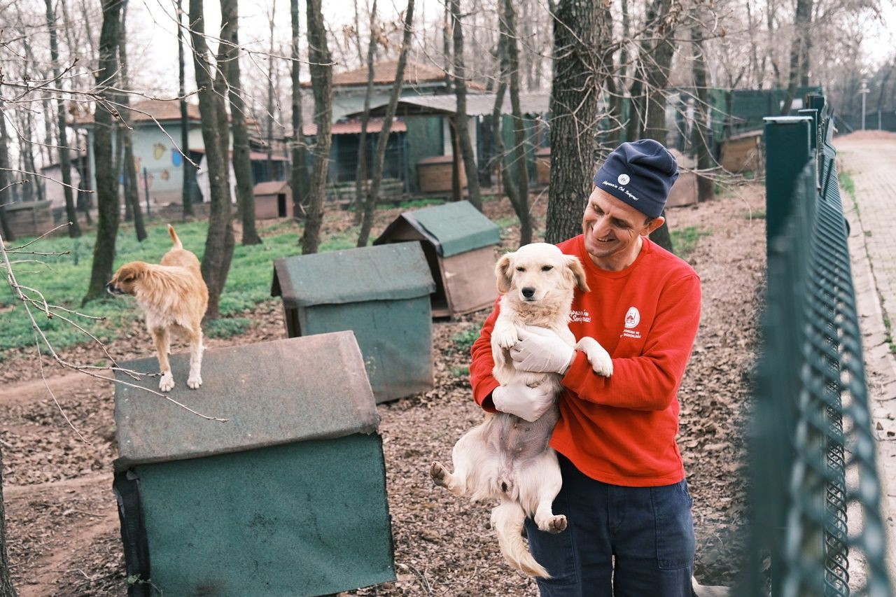 Sokak Hayvanları İçin Anlamlı İş Birliği: Gıda Fazlalıkları Hayvanlara Ulaşıyor - Sayfa 7