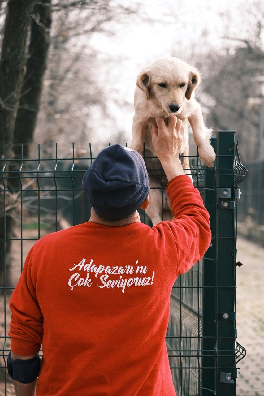 Sokak Hayvanları İçin Anlamlı İş Birliği: Gıda Fazlalıkları Hayvanlara Ulaşıyor - Sayfa 6
