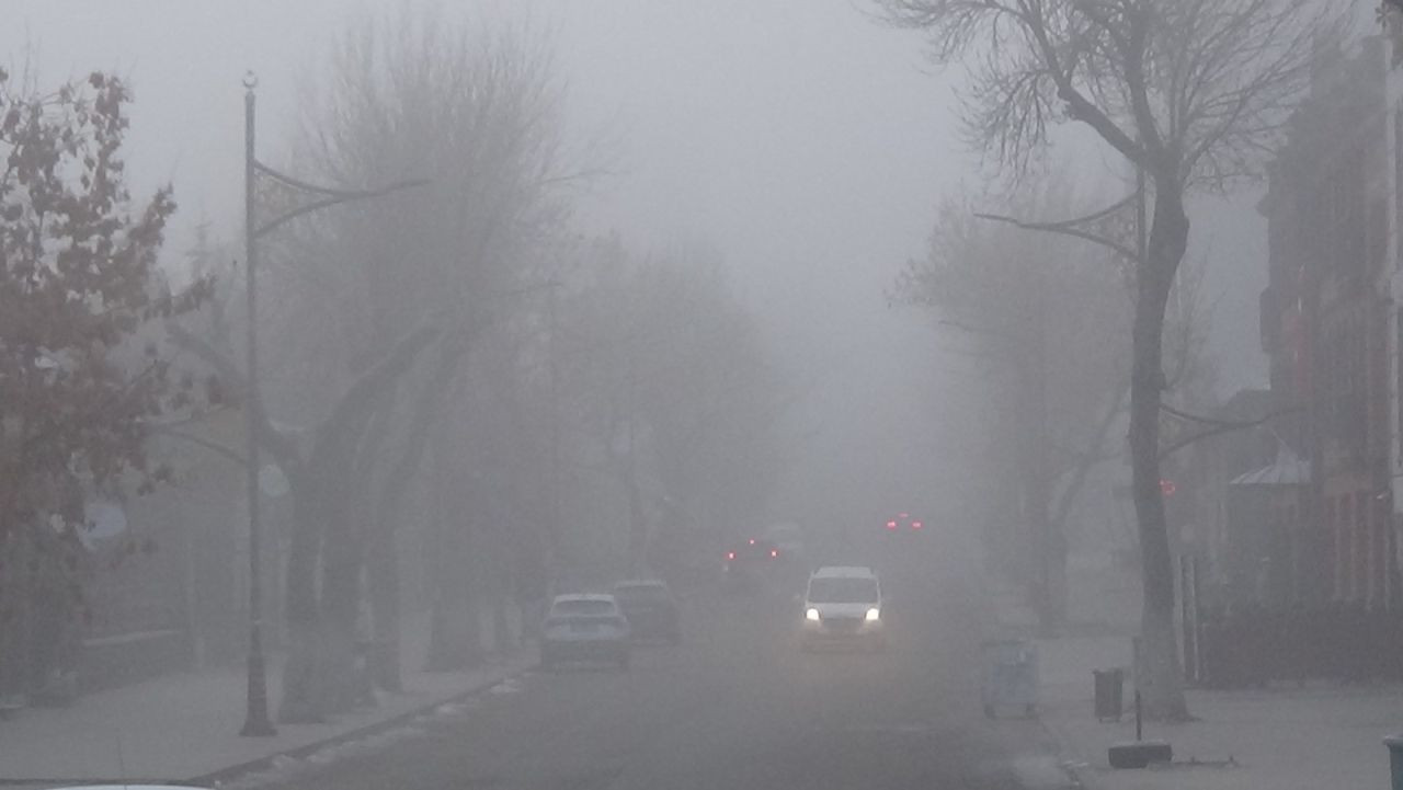 Kars'ta Yoğun Sis Etkili Oldu - Sayfa 2