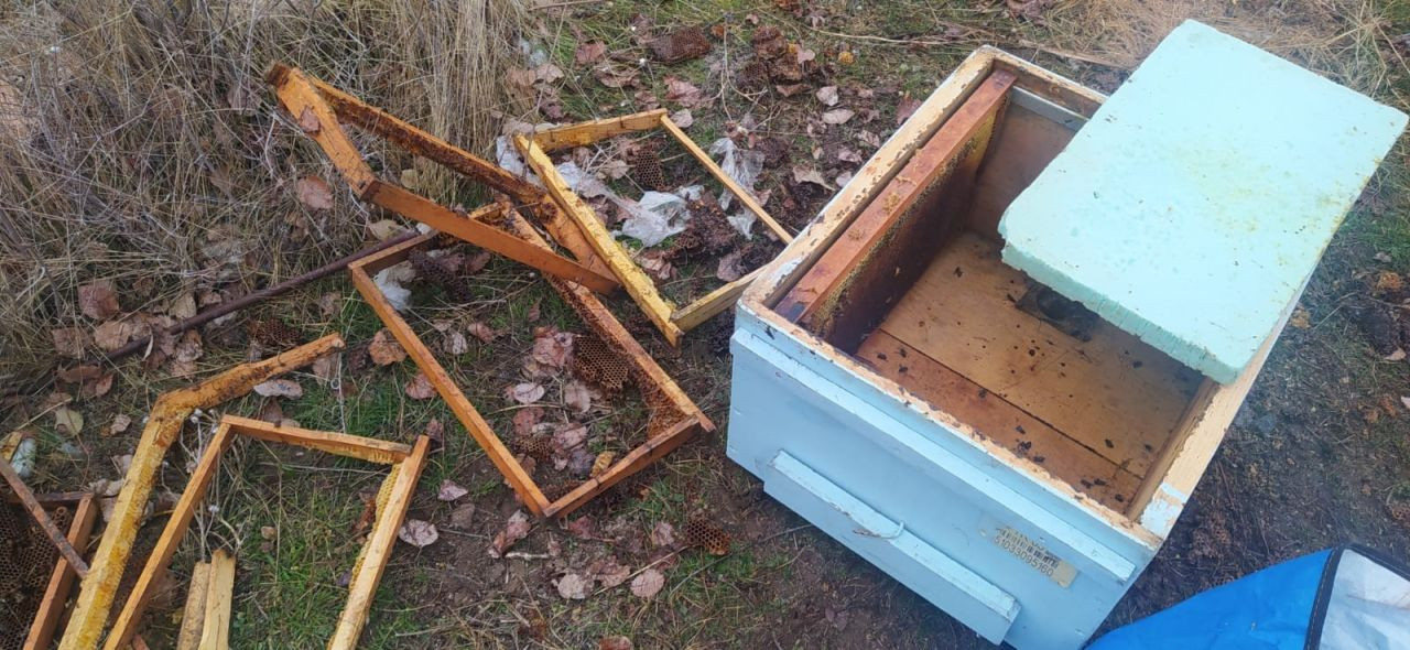 Muradiye’de Ayılar Kovanlara Ve Kümes Hayvanlarına Saldırdı - Sayfa 3