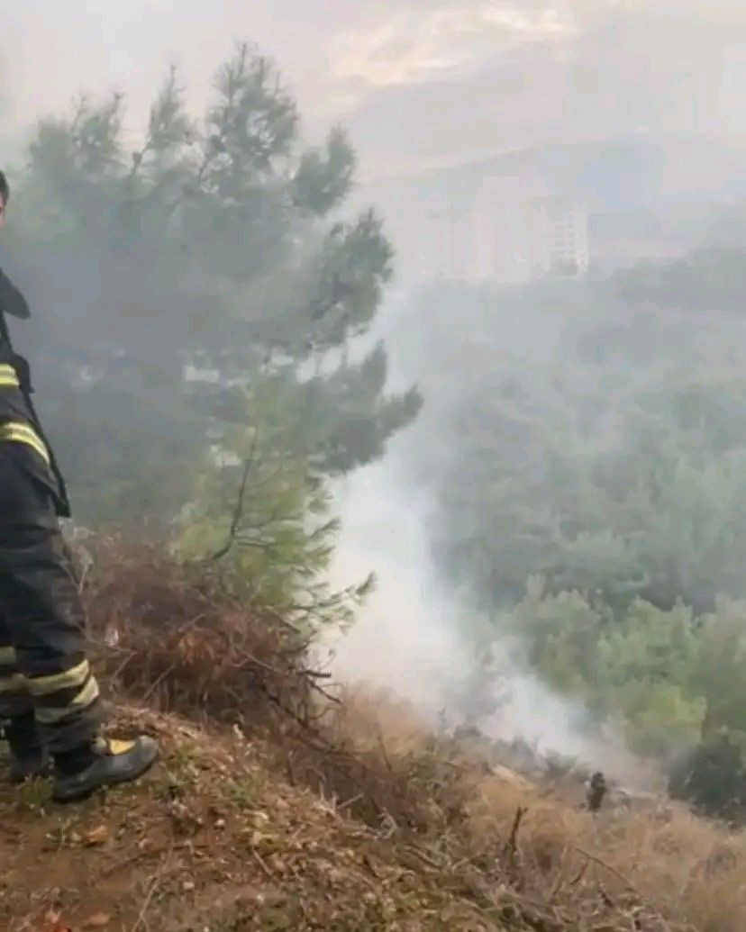 İskenderun’da Orman Yangını Korkuttu: Ekipler Müdahale Etti - Sayfa 2