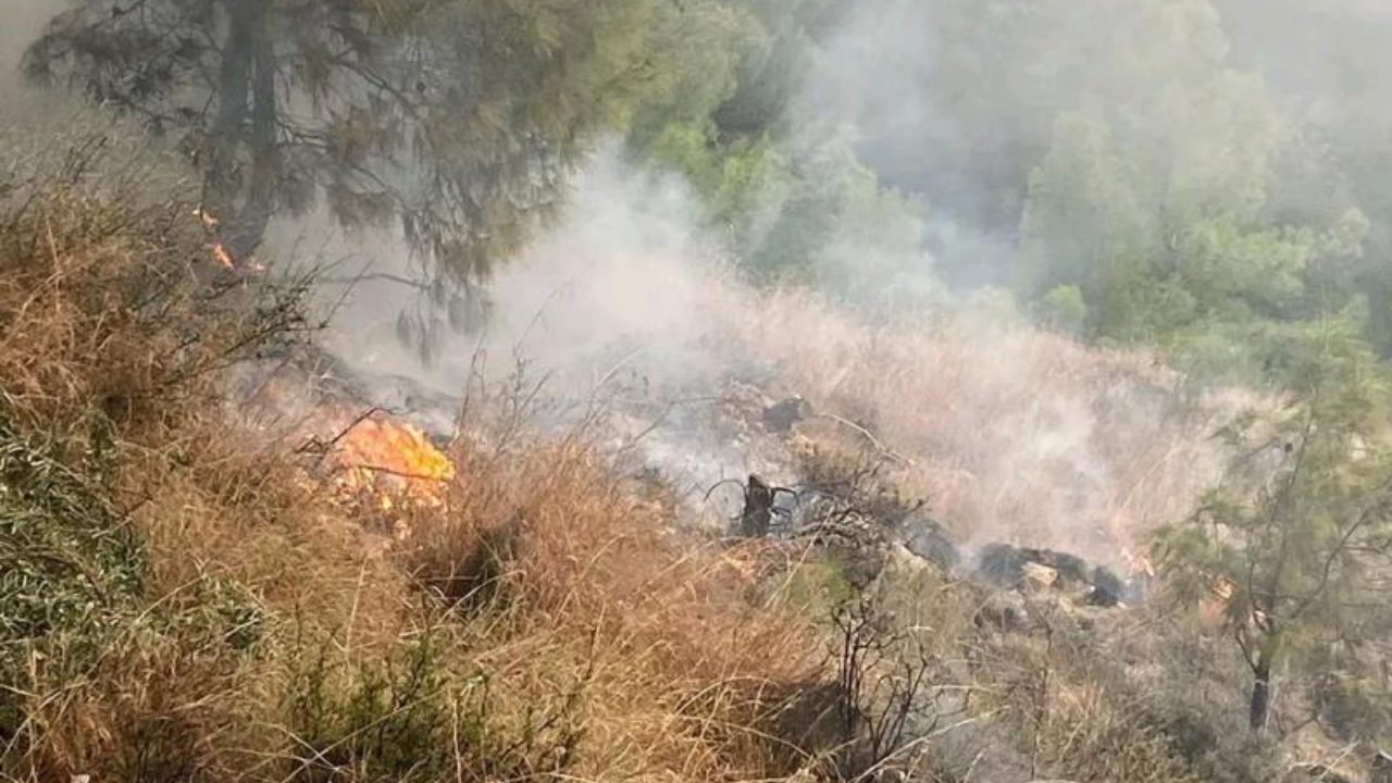 İskenderun’da Orman Yangını Korkuttu: Ekipler Müdahale Etti