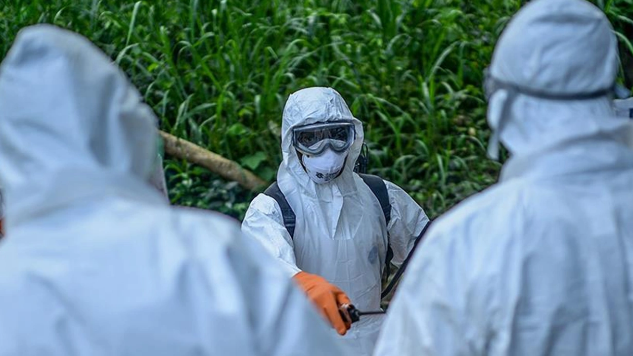 Sierra Leone'de Ebola Virüsüne Karşı Aşılama Kampanyası Başladı