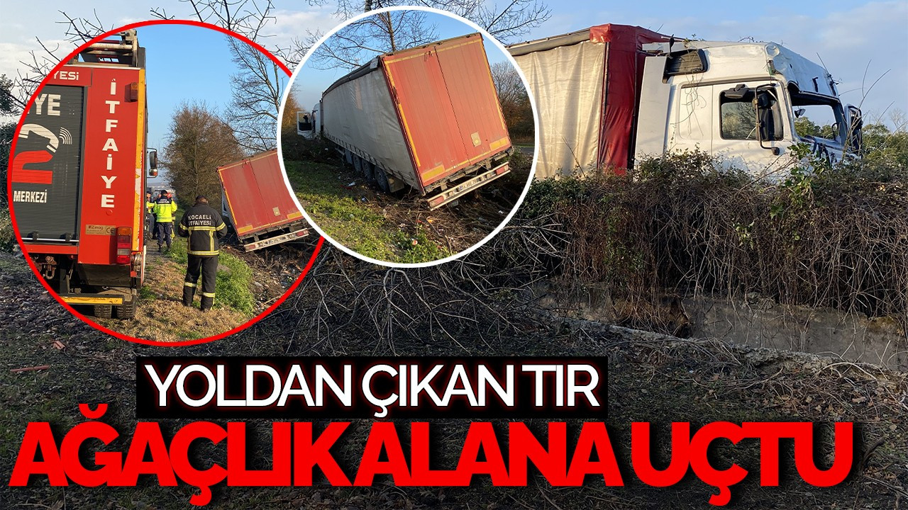 Kocaeli'de Yoldan Çıkan Tır Ağaçlık Alana Uçtu: 2 Yaralı