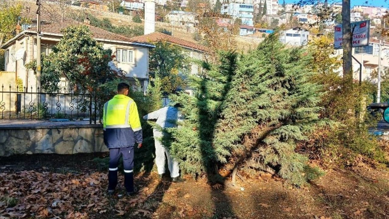 Park ve bahçelerde kış bakım çalışmaları