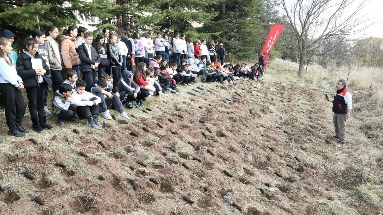 Okul Arazisine Lavanta, Biberiye, Kekik Ve Adaçayı Fidanları Diktiler