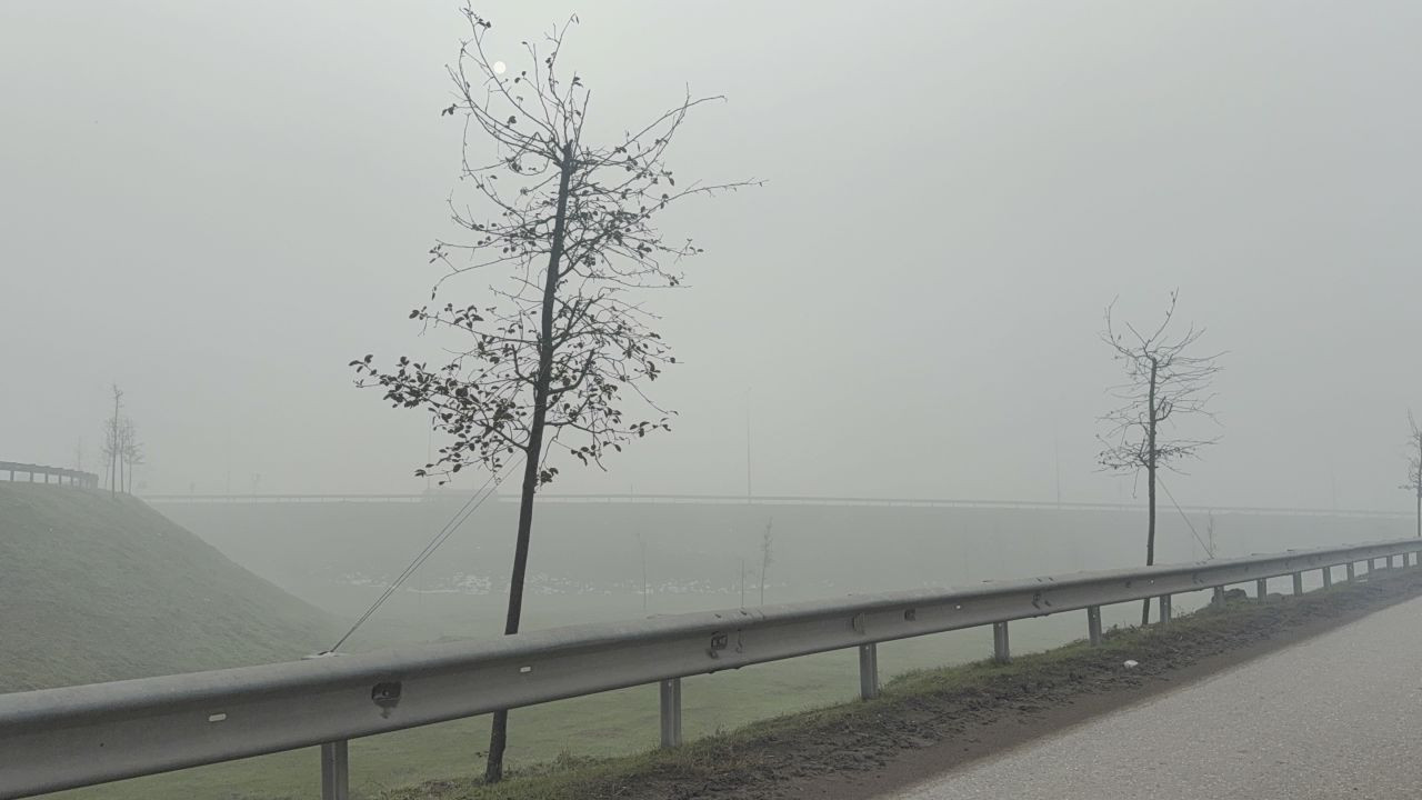 Düzce’ye sis çöktü - Sayfa 2