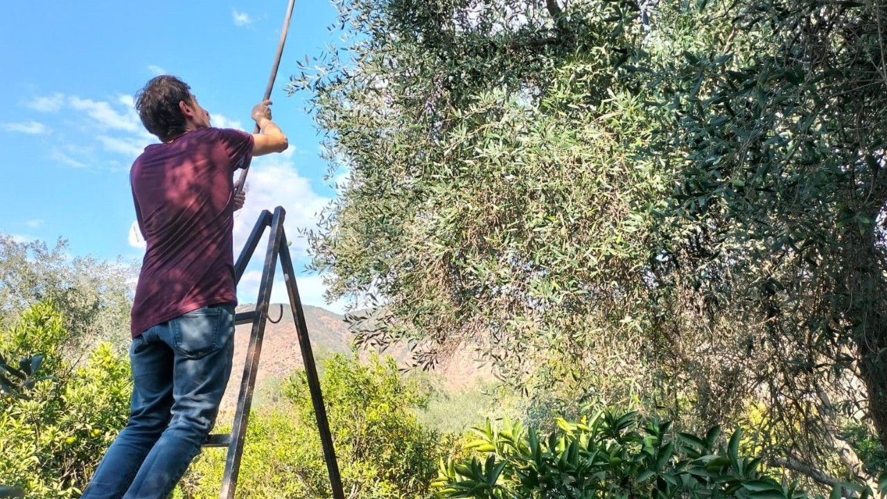 Muğla, Kasım ayında Ege’nin ihracat artış rekortmeni oldu