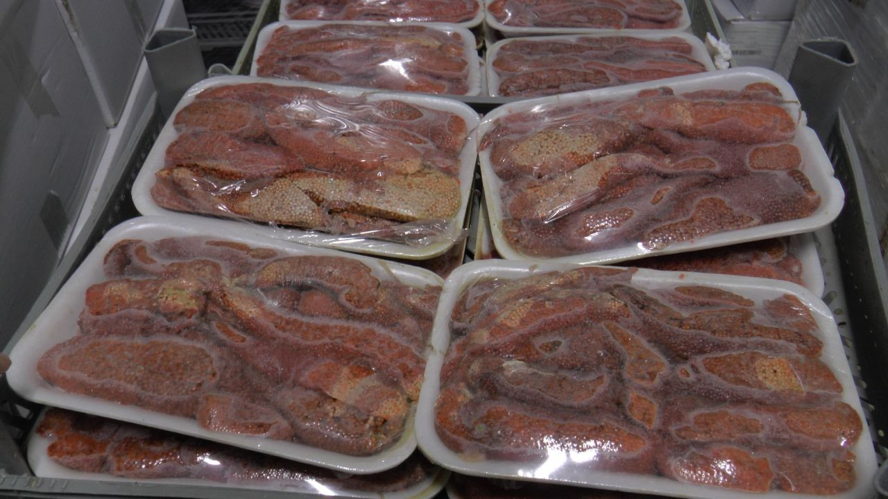 Kayseri'den 6 Ülkeye 10 Bin 500 Ton Balık İhracatı - Sayfa 3