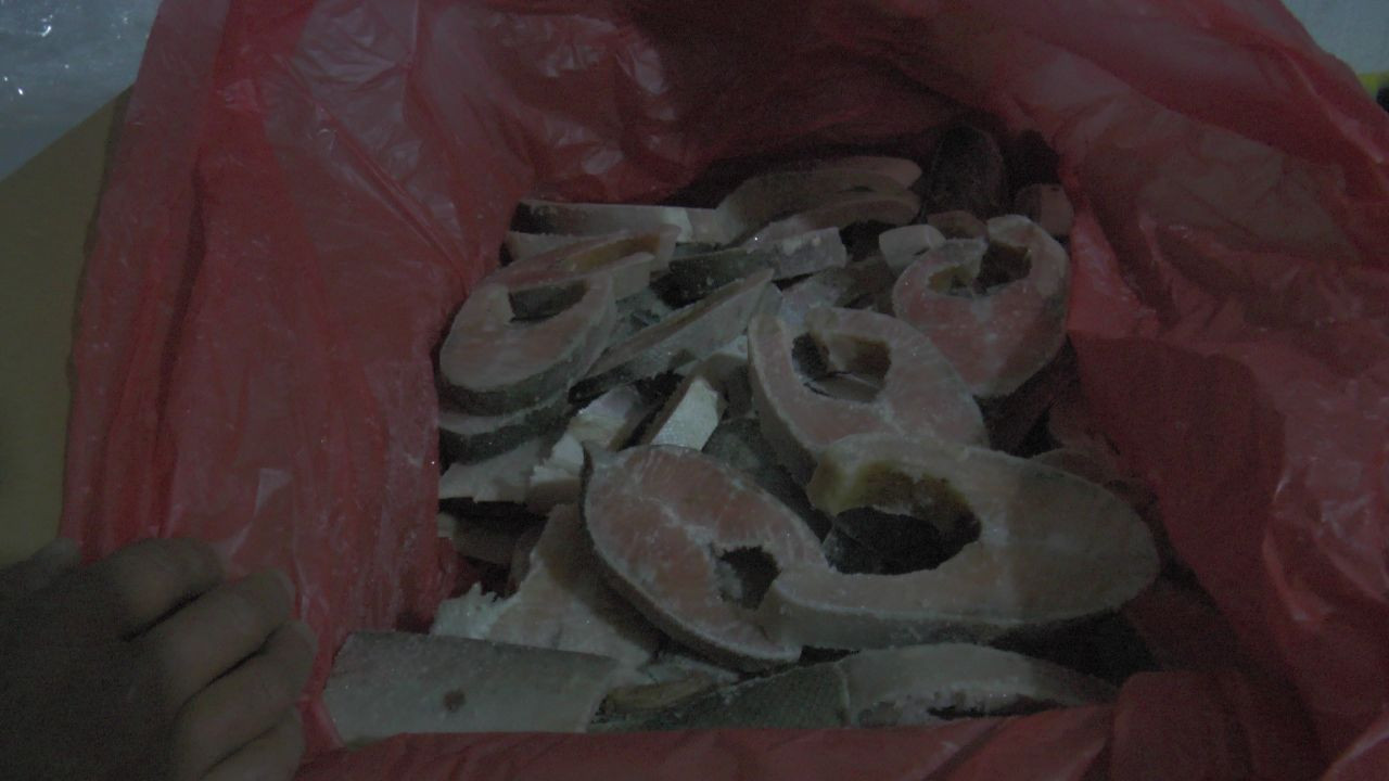 Kayseri'den 6 Ülkeye 10 Bin 500 Ton Balık İhracatı - Sayfa 4