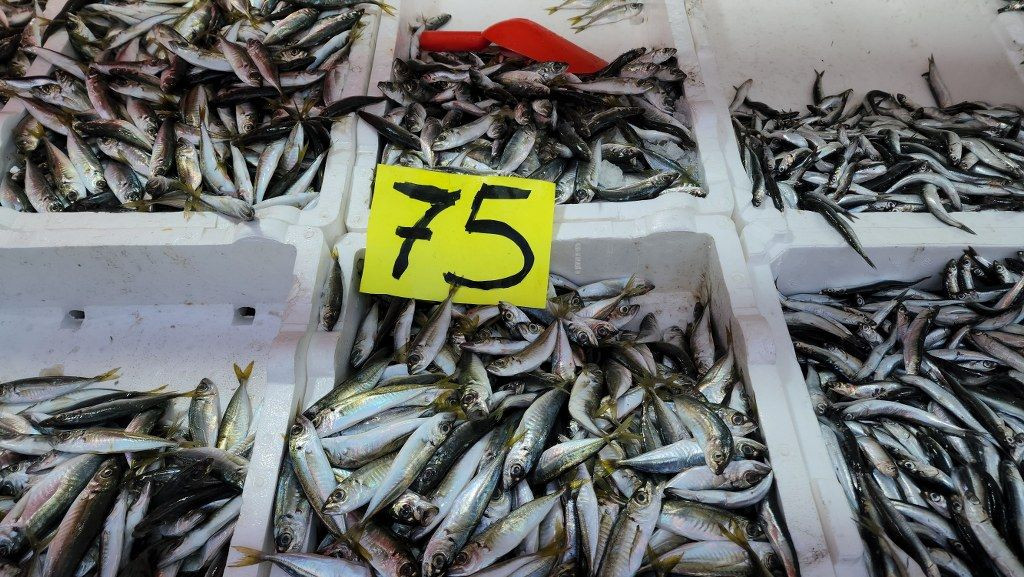 Hamsi Zonguldak'ta Tezgahları Şenlendiriyor - Sayfa 6