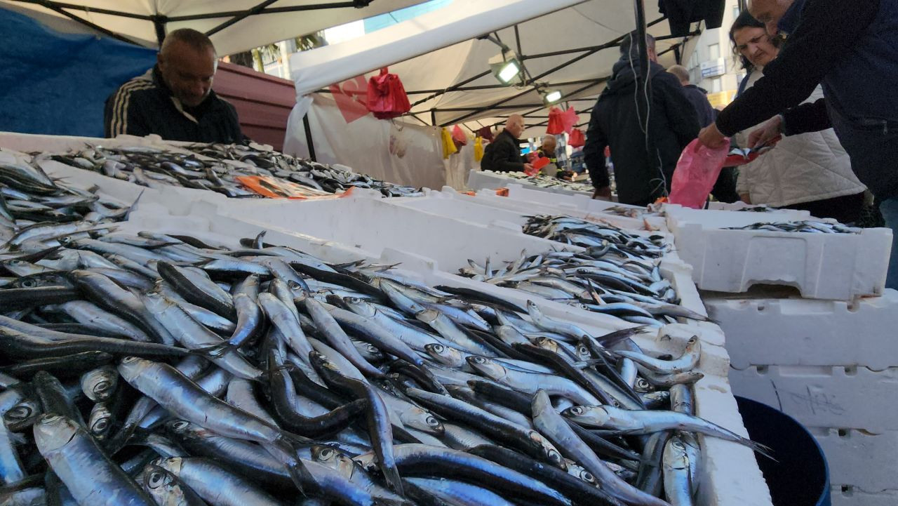 Hamsi Zonguldak'ta Tezgahları Şenlendiriyor - Sayfa 3