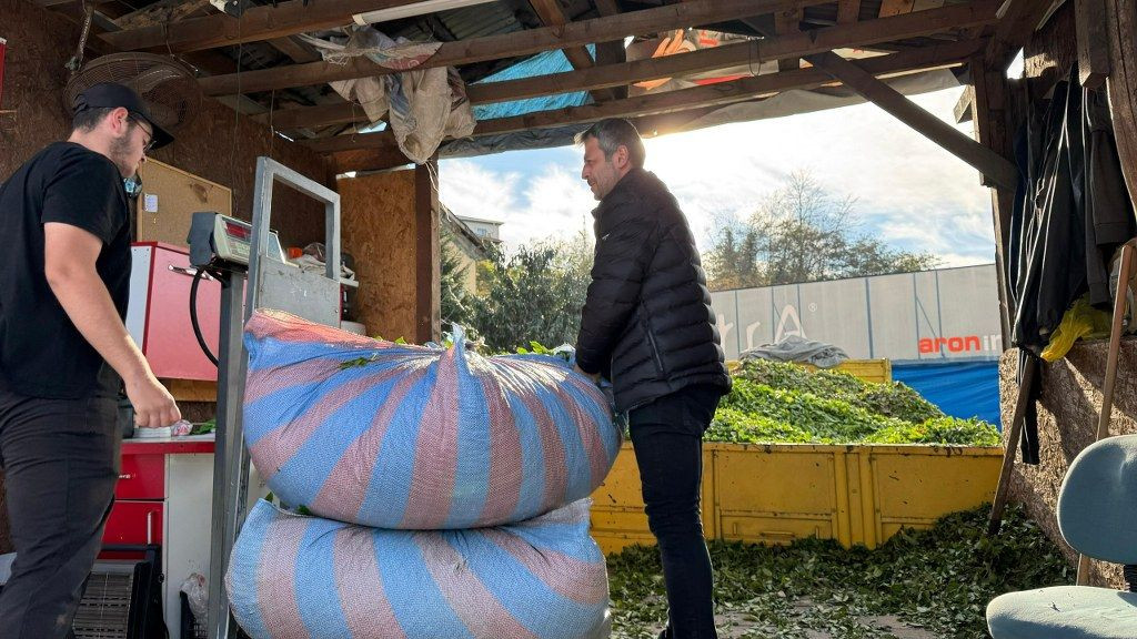 Kış Geldi, Çay Sezonu Bitmedi - Sayfa 4