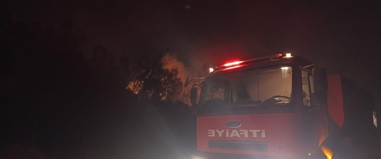 Hatay Dörtyol’da Sazlık Alanda Yangın Çıktı - Sayfa 2