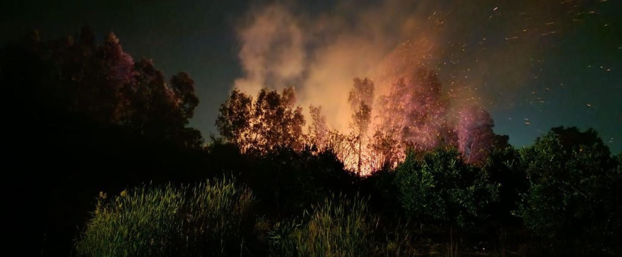 Hatay Dörtyol’da Sazlık Alanda Yangın Çıktı - Sayfa 3