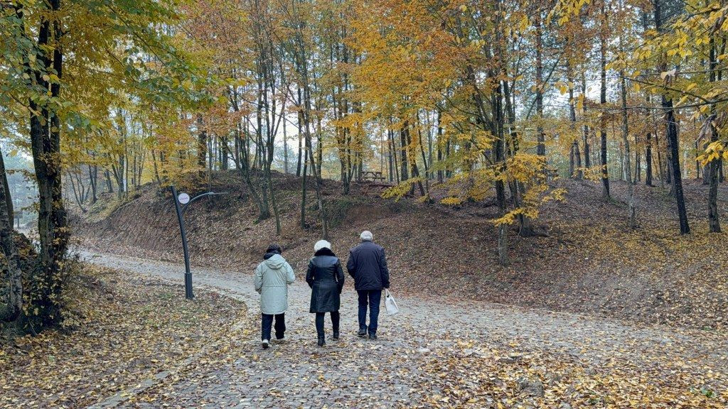 Düzce'nin Doğa Harikası Korugöl'de Kış Güzelliği - Sayfa 11