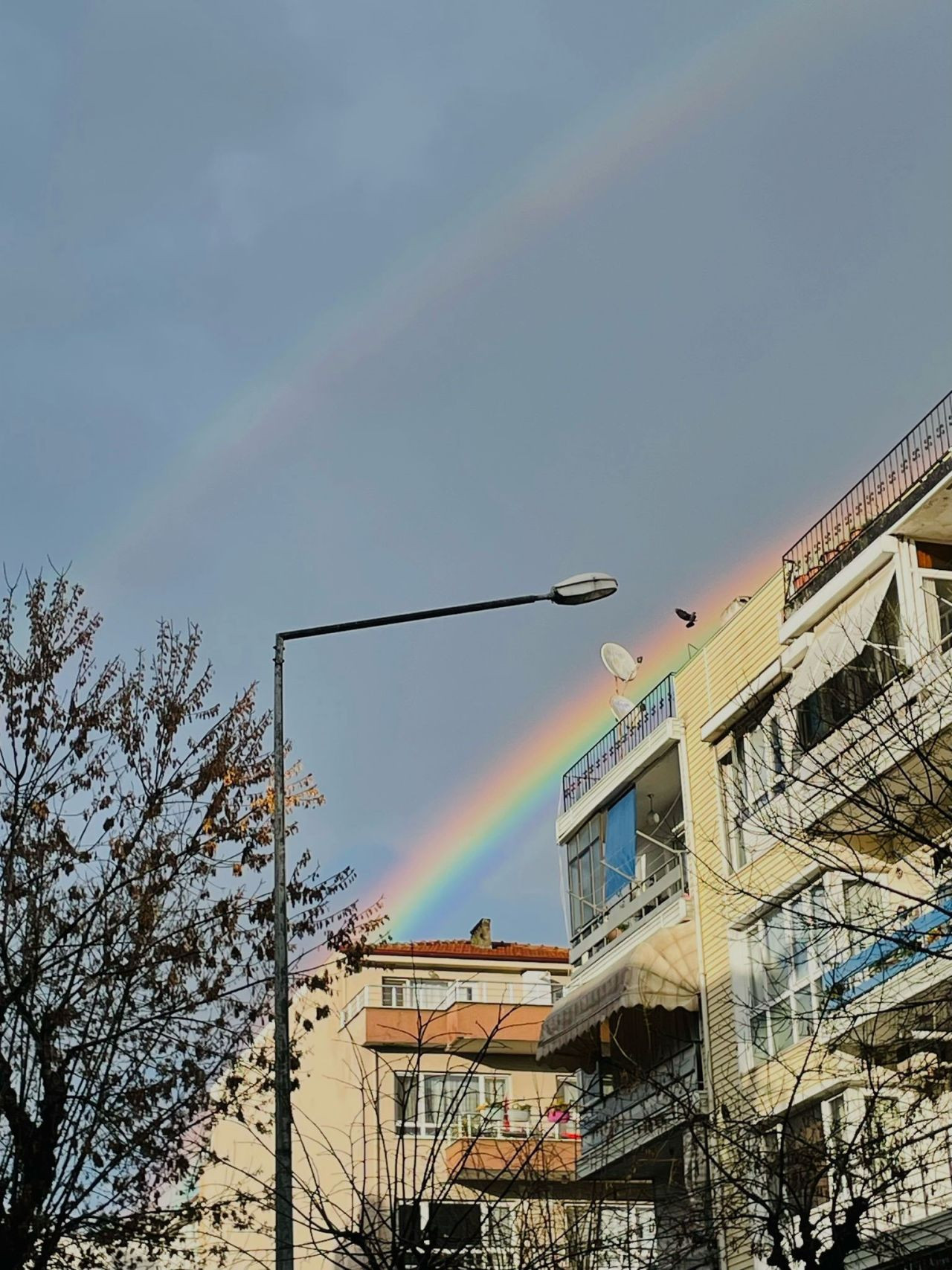 Yalova Semalarında Gökkuşağı: Yağmur Sonrası Görsel Şölen - Sayfa 5