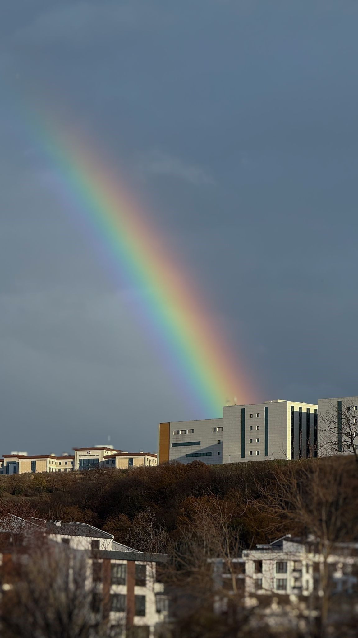 Yalova Semalarında Gökkuşağı: Yağmur Sonrası Görsel Şölen - Sayfa 6