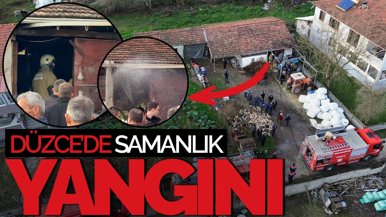 Düzce’de Samanlık Yangını: İtfaiye 3 Büyükbaşı Kurtardı