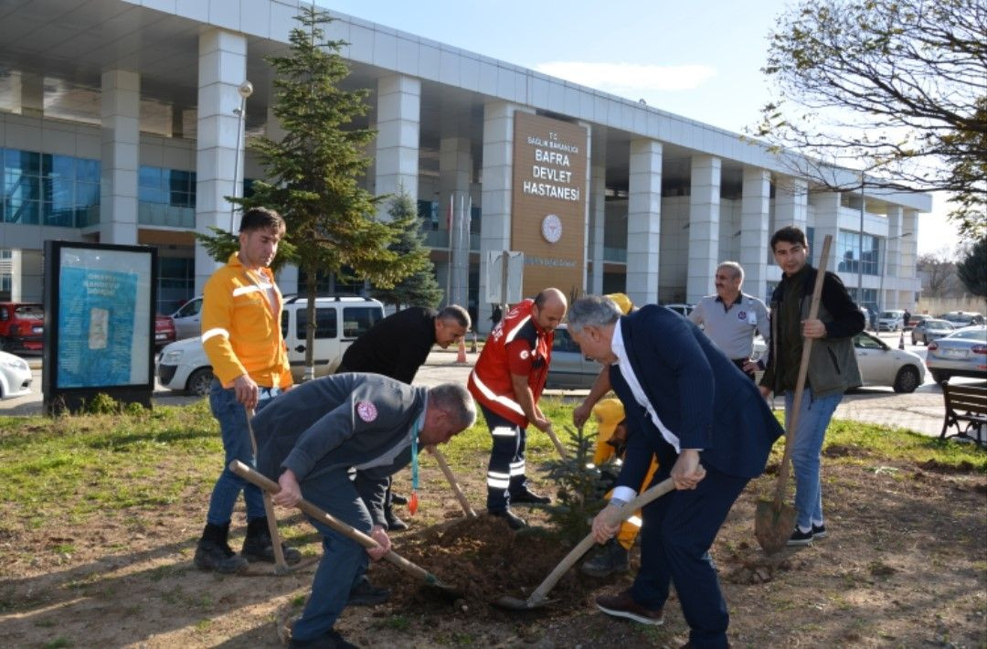 Bafra Devlet Hastanesi’nde Fidan Dikimiyle Yeşil Bir Gelecek - Sayfa 1