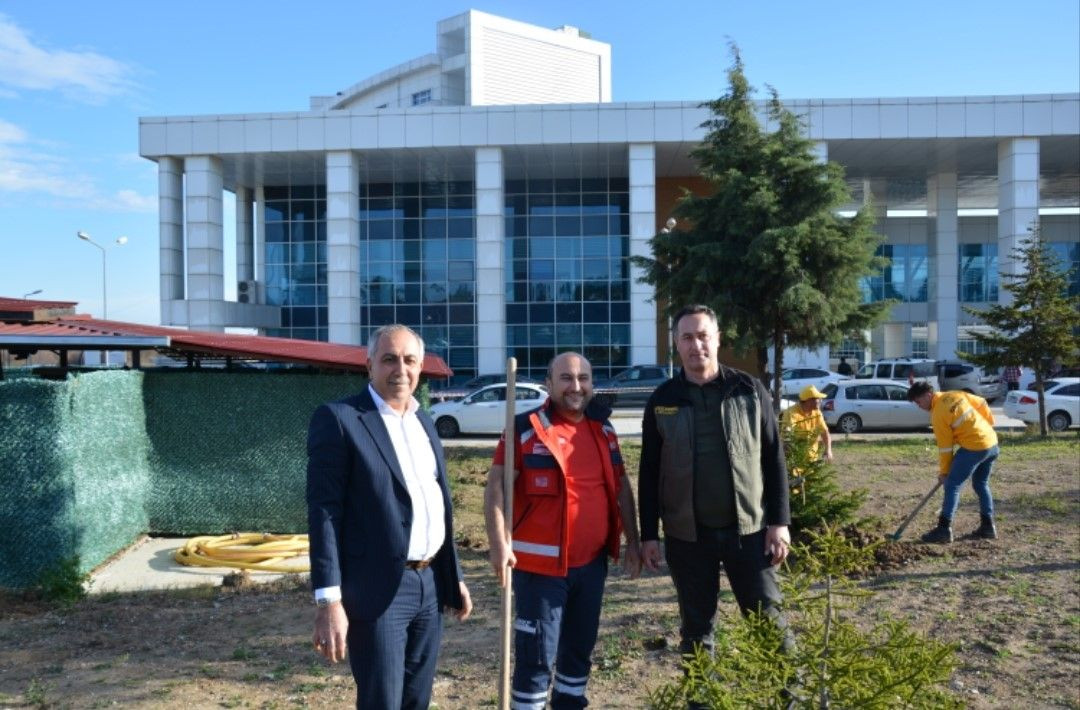 Bafra Devlet Hastanesi’nde Fidan Dikimiyle Yeşil Bir Gelecek - Sayfa 2