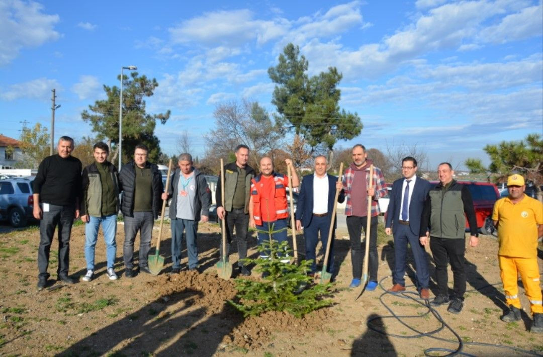 Bafra Devlet Hastanesi’nde Fidan Dikimiyle Yeşil Bir Gelecek - Sayfa 4