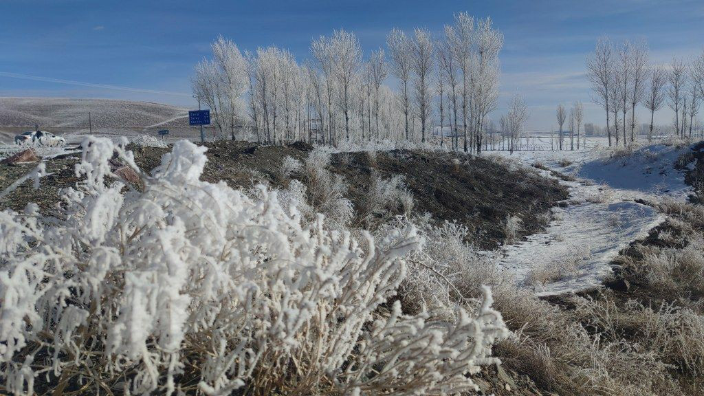Van'ın Özalp İlçesi Dondu Ağaçlar Kırağı Tuttu - Sayfa 7
