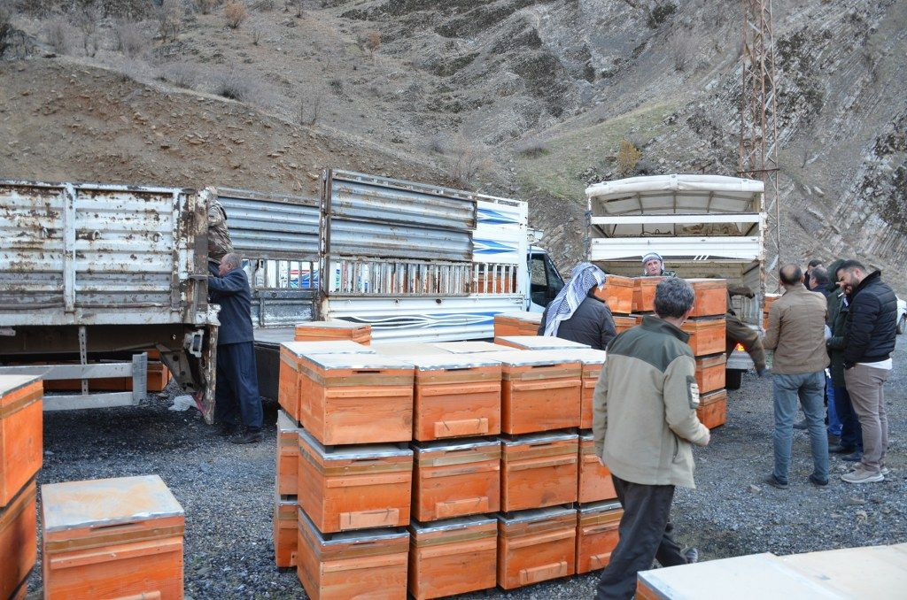 Şırnak'ta Arıcılara 5 milyonluk Devlet Desteği - Sayfa 5