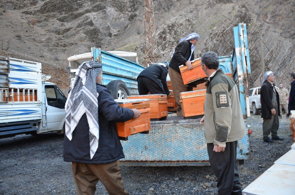 Şırnak'ta Arıcılara 5 milyonluk Devlet Desteği - Sayfa 6