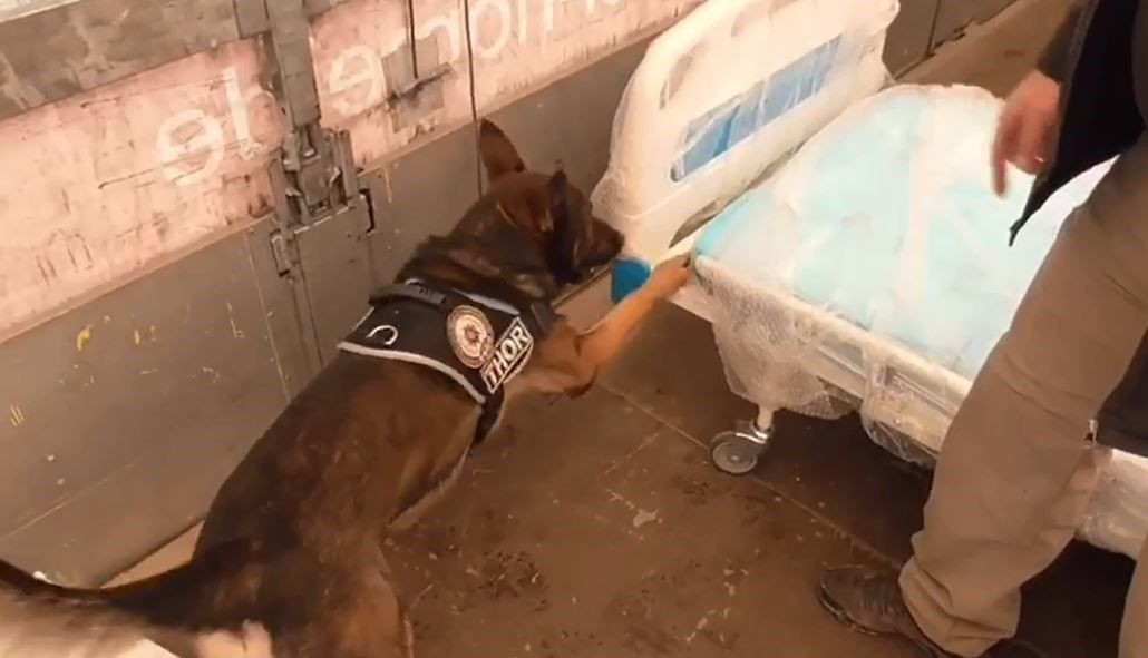 Van’da Hasta Yatağında Gizlenmiş 5 Kilo Uyuşturucu Ele Geçirildi - Sayfa 2