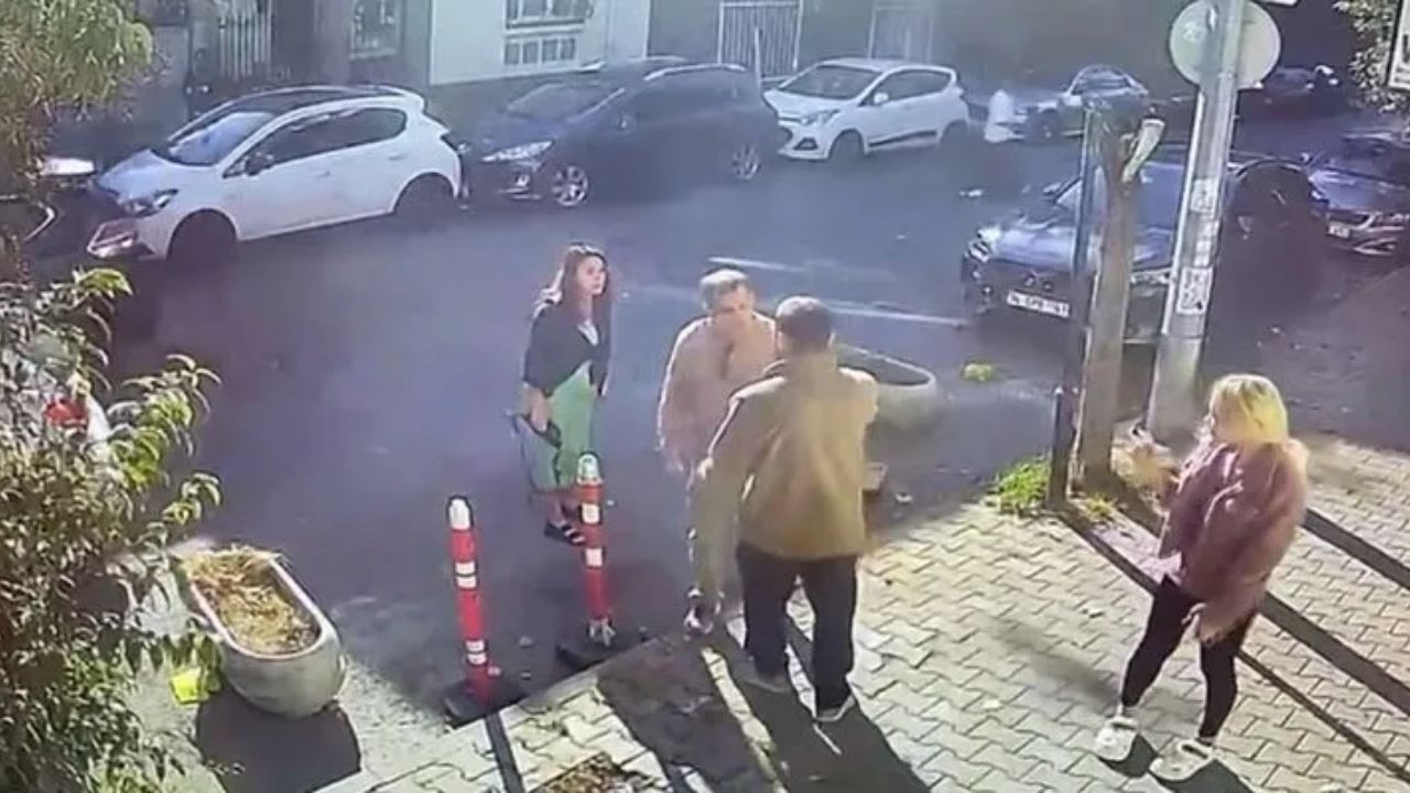 İstanbul'da Veterinere Kedimin Bıyığını Kestin Dayağı! - Sayfa 4