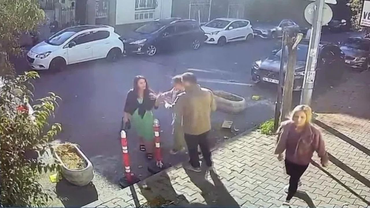 İstanbul'da Veterinere Kedimin Bıyığını Kestin Dayağı! - Sayfa 2