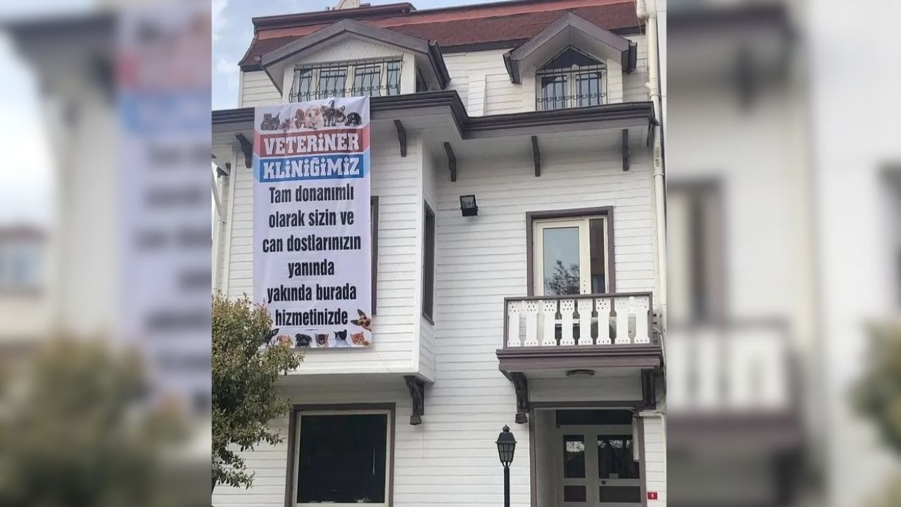 İstanbul'da Veterinere Kedimin Bıyığını Kestin Dayağı! - Sayfa 6