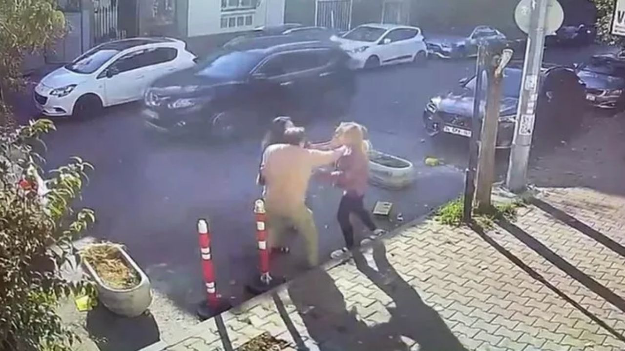 İstanbul'da Veterinere Kedimin Bıyığını Kestin Dayağı! - Sayfa 1