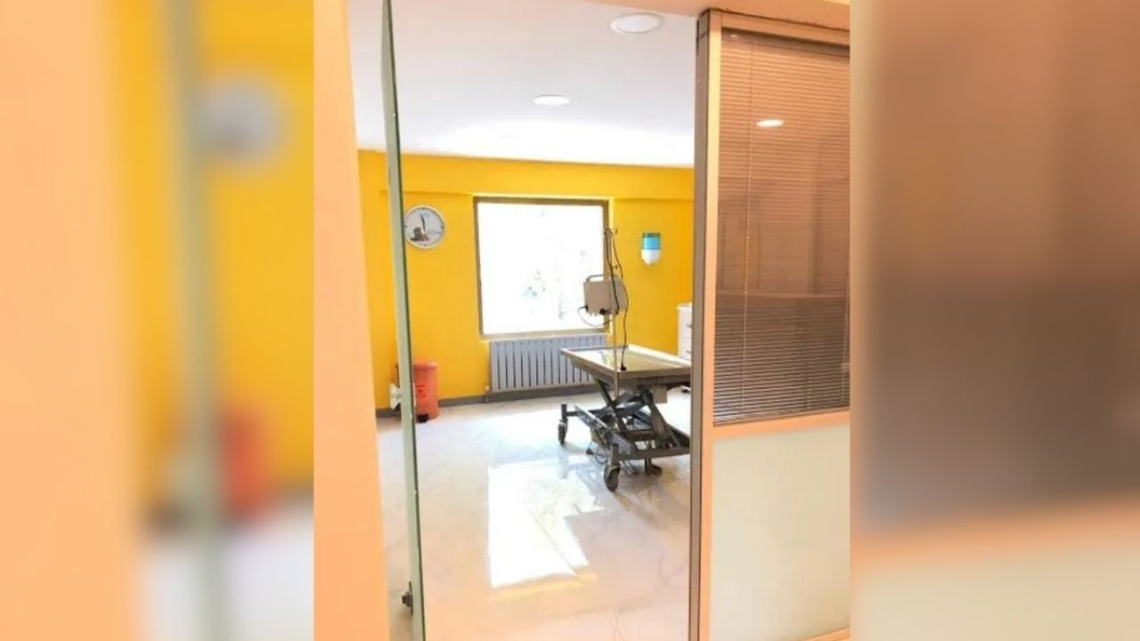 İstanbul'da Veterinere Kedimin Bıyığını Kestin Dayağı! - Sayfa 5