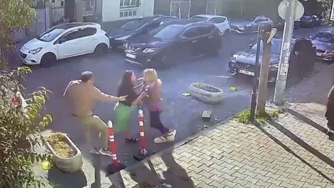 İstanbul'da Veterinere Kedimin Bıyığını Kestin Dayağı! - Sayfa 3