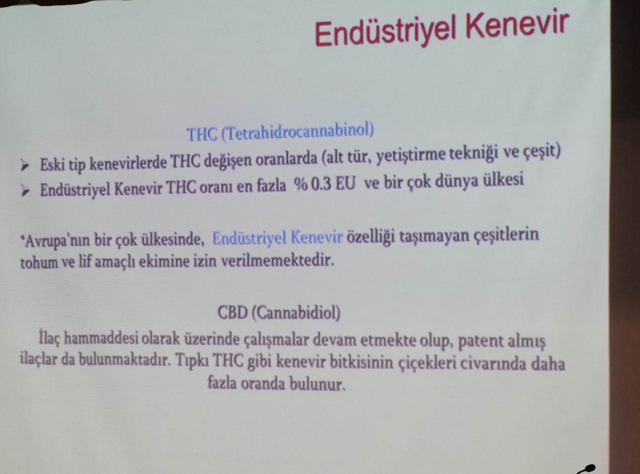 Bağımlılar, 'Endüstriyel Kenevir' Tarlalarına Dadanmaktan Vazgeçti - Sayfa 3