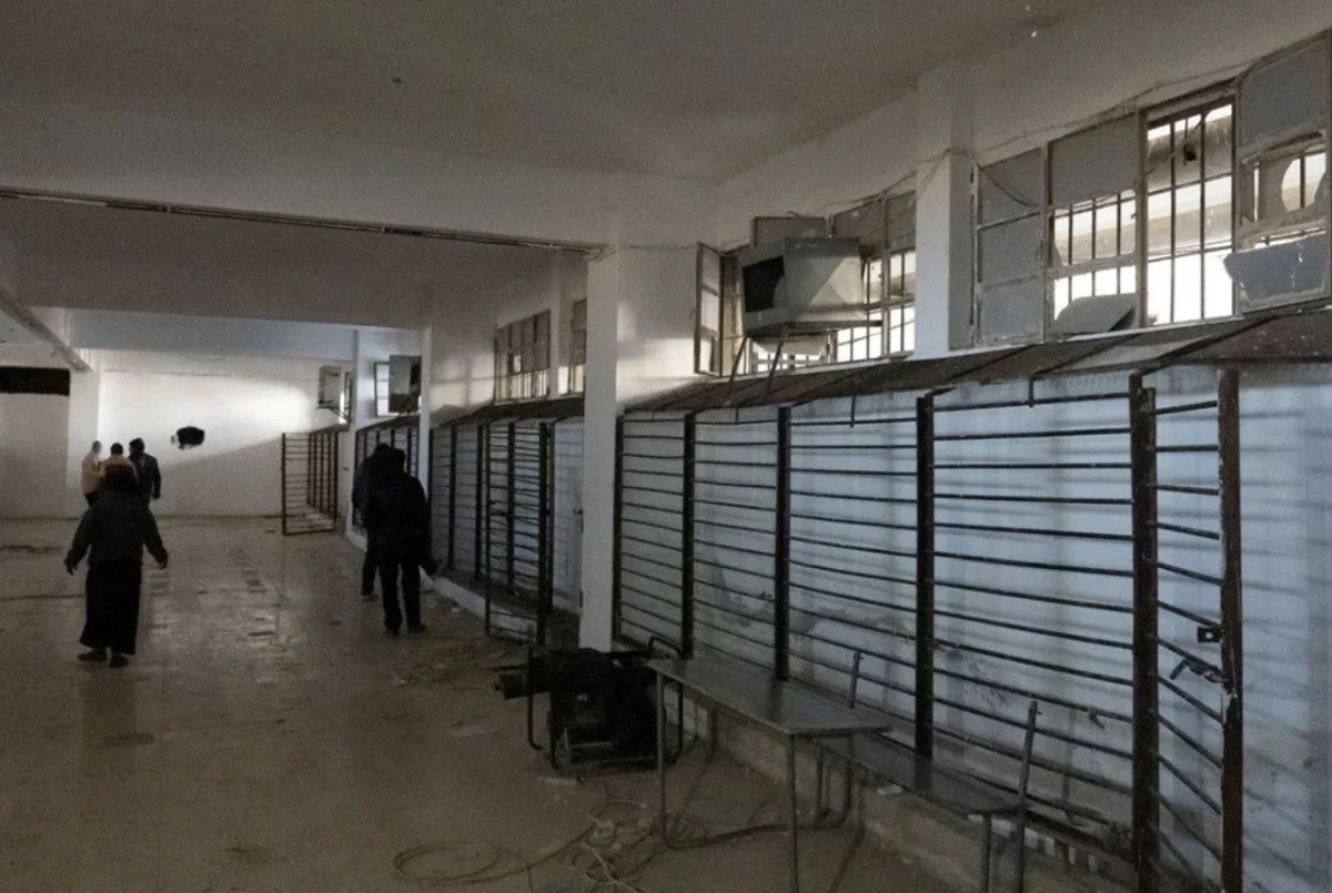 Suriye'de Esad Rejiminin Korkunç İzleri: Gözleri Oyulmuş Cesetler... - Sayfa 4