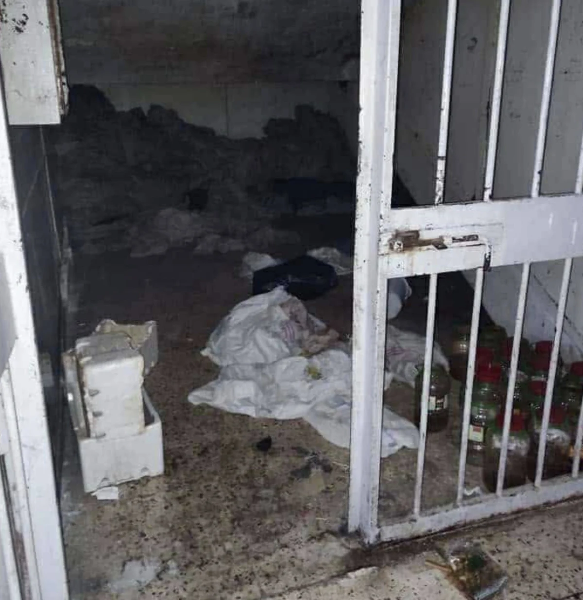 Suriye'de Esad Rejiminin Korkunç İzleri: Gözleri Oyulmuş Cesetler... - Sayfa 2