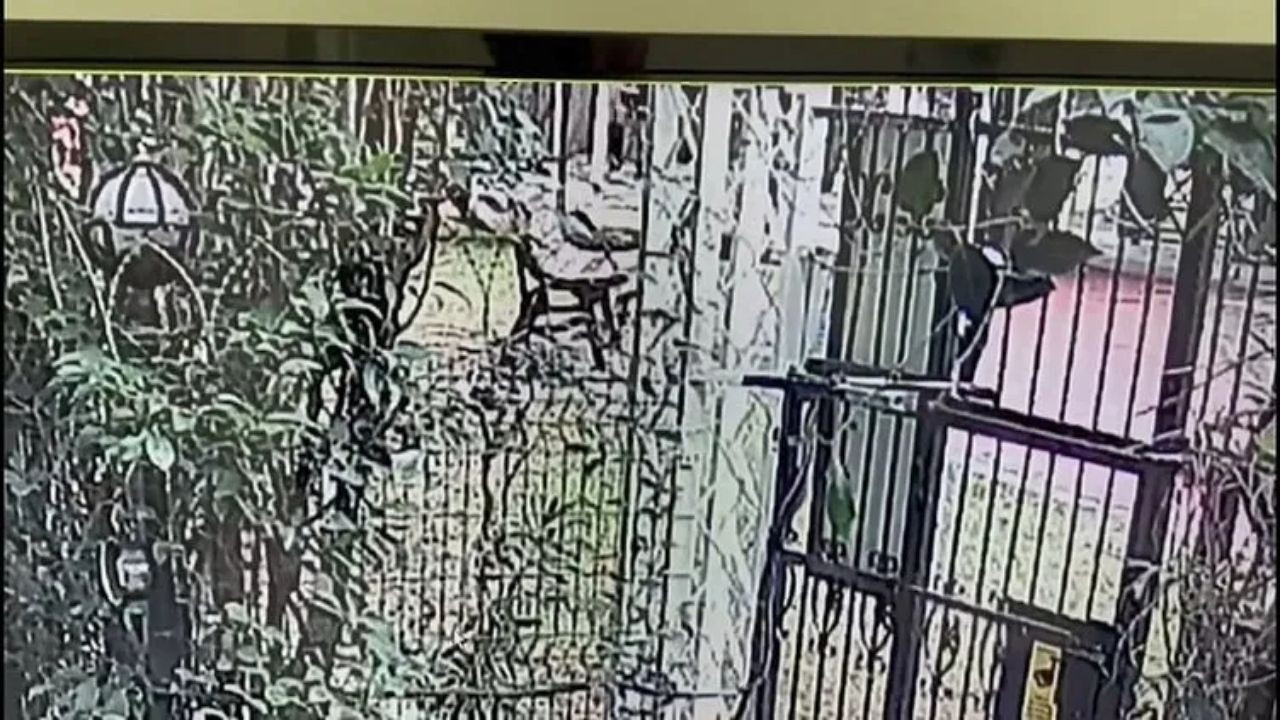 İstanbul'da 79 Yaşındaki Adam, Uyardığı 16 Yaşındaki Genç Tarafından Tek Yumrukla Öldürüldü!