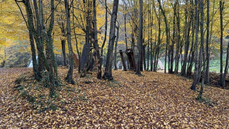 Düzce'nin Aydınpınar Şelaleleri Renk Cümbüşü İle Büyülüyor - Sayfa 4