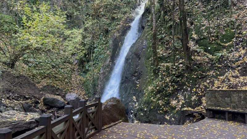 Düzce'nin Aydınpınar Şelaleleri Renk Cümbüşü İle Büyülüyor - Sayfa 9