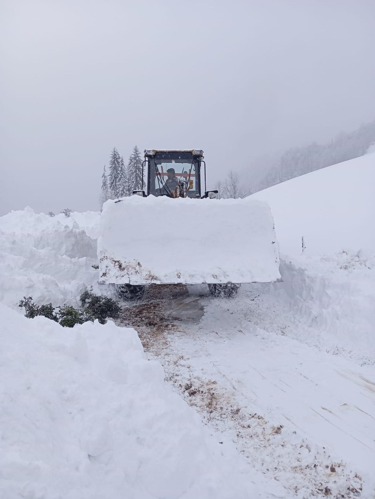 Rize’de 38 köy yolu ulaşıma kapandı - Sayfa 5