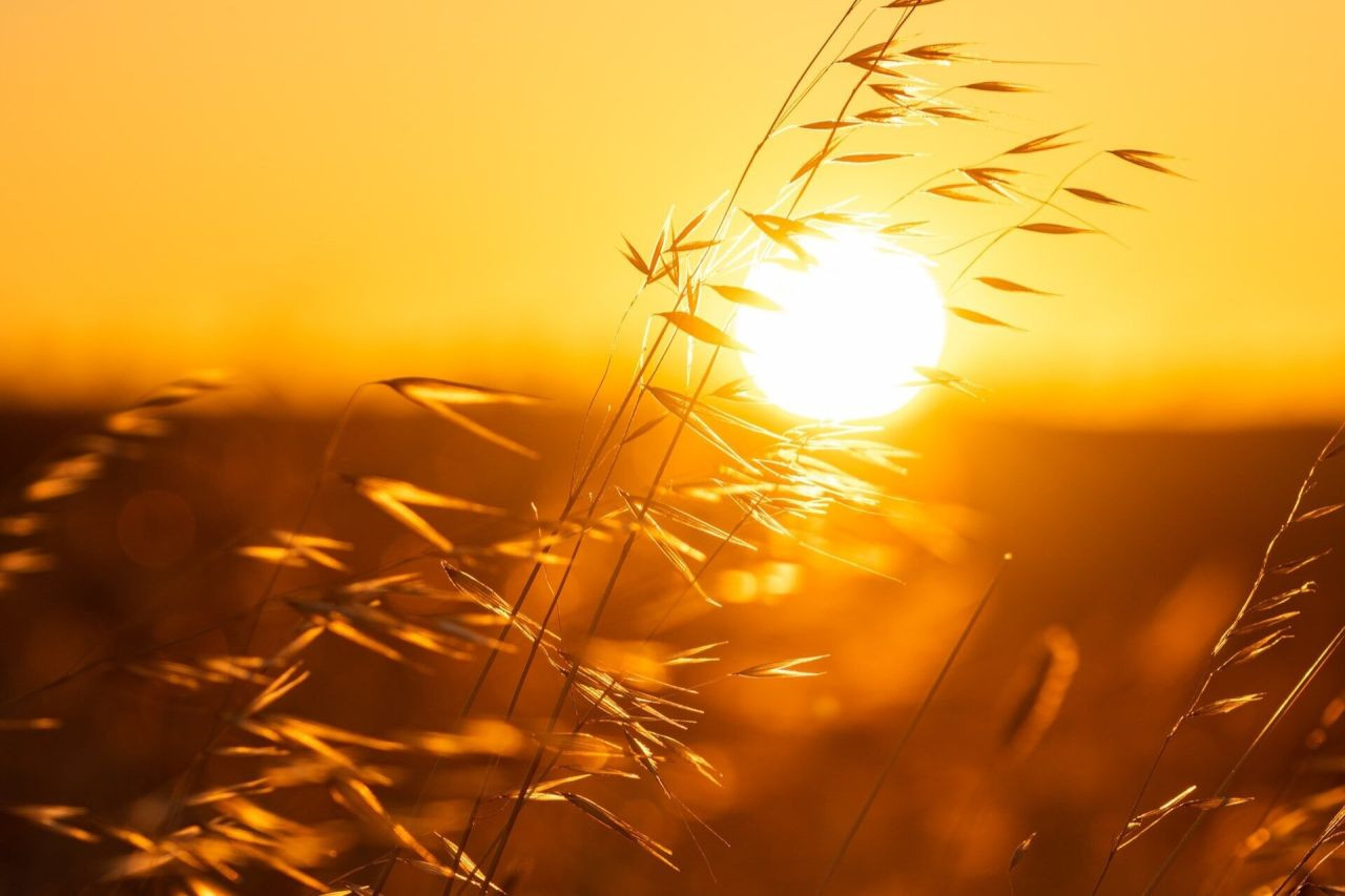 Güneş’te Kritik Dönem: "Savaş Bölgesi" Uyarısı - Sayfa 7