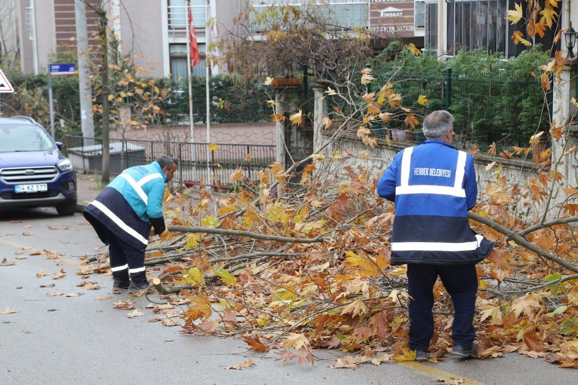 Hendek'te çalışmalar hız kesmeden devam ediyor - Sayfa 8